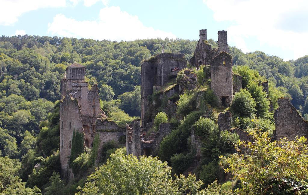 Gite De La Genevriere Saint-Chamant エクステリア 写真